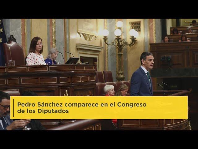 Pedro Sánchez comparece en el Congreso de los Diputados