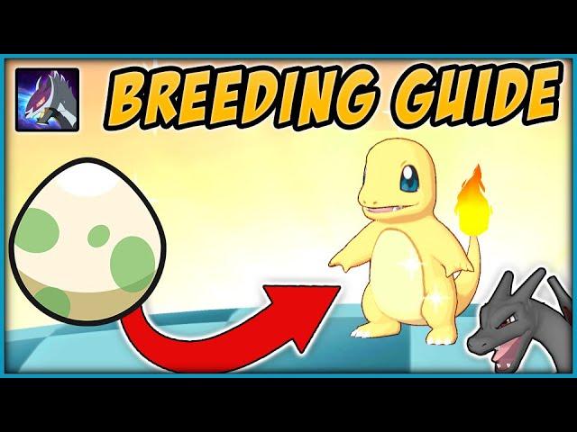 FULL Egg Breeding Guide - Infinity Island / The Soul Guardian