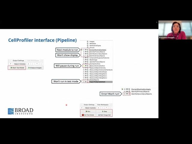 Introduction to Cell Profiler: A beginner’s guide to segmentation