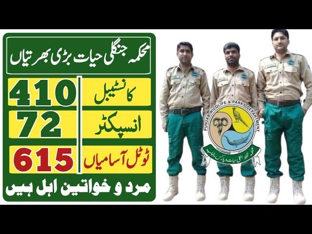 Punjab wildlife and parks department government of Punjab pakistan jobs 2025|today all jobs update