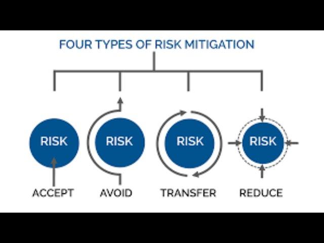 Risk Mitigation Strategy