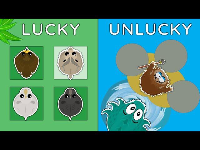 LUCKY vs UNLUCKY PLAYERS in MOPE.IO