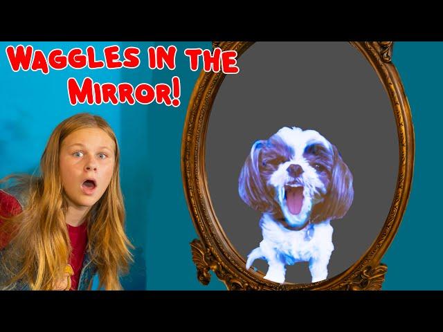 Assistant Solves Riddles to Rescue Waggles from the Magic Mirror