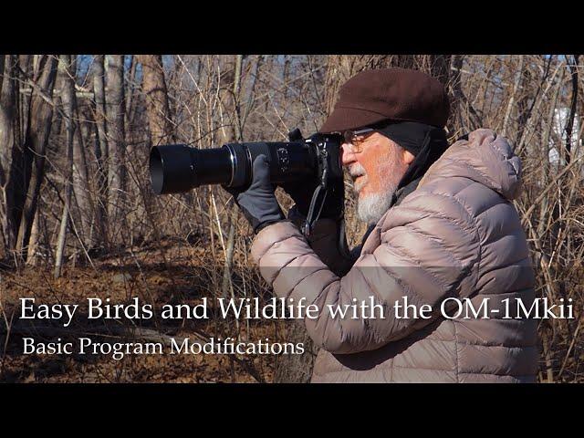 Easy Birds and Wildlife with the OM System OM-1 Mkii: modifications to Program mode.