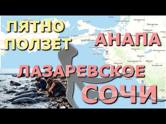 Мазут в черном море, новости черноморское побережье, черное море сейчас, Лазаревское сегодня