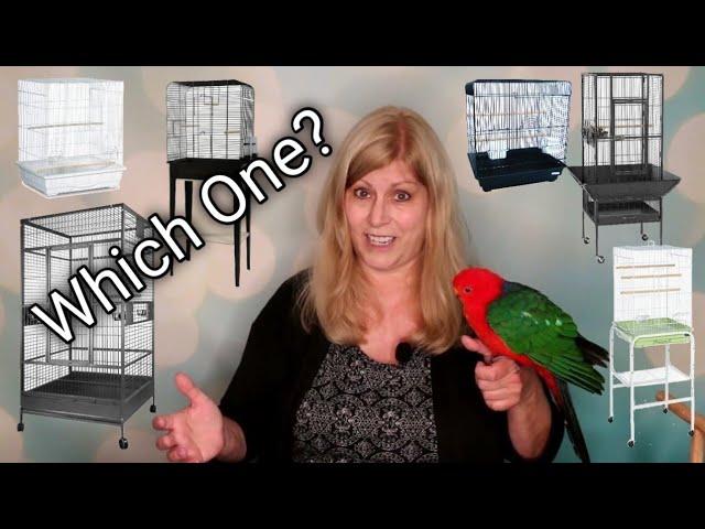 Choosing the Perfect Bird Cage: Styles Sizes Shapes and More