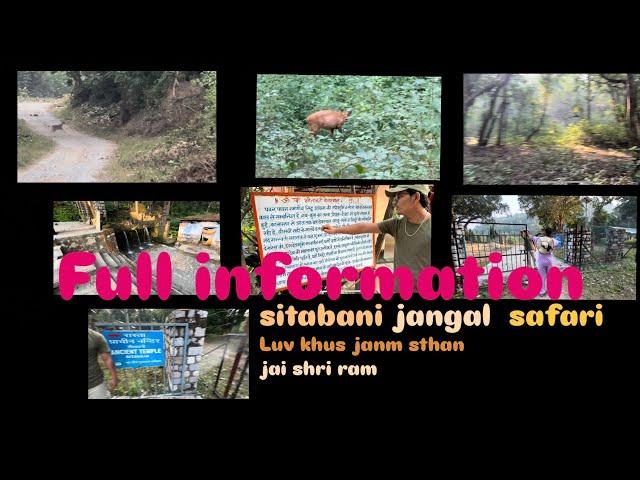 Jim Corbett setabani |Uncut Video | full information | 1000 saal purana luv kush janam sthan mandir