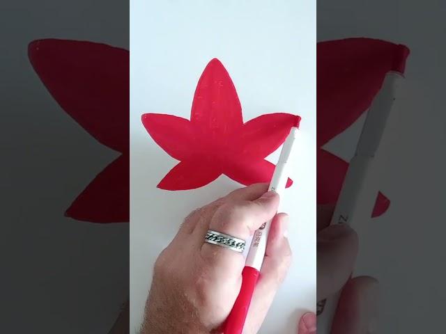 How to Draw a Maple Leaf in One Continuous Line Technique #shortsviral #easydrawing #drawingtricks