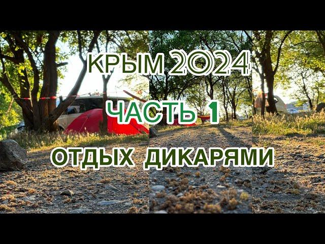 ОТДЫХ ДИКАРЯМИ в Крыму 2024. ЧАСТЬ 1.