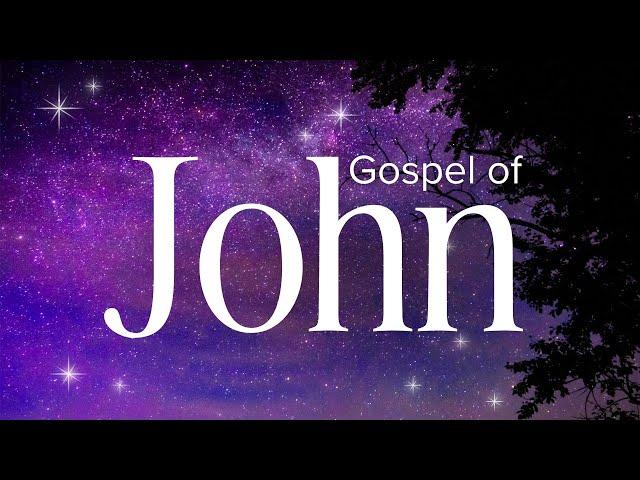 Gospel of John - Abide Audio Bible: (Holy Bible Audio)