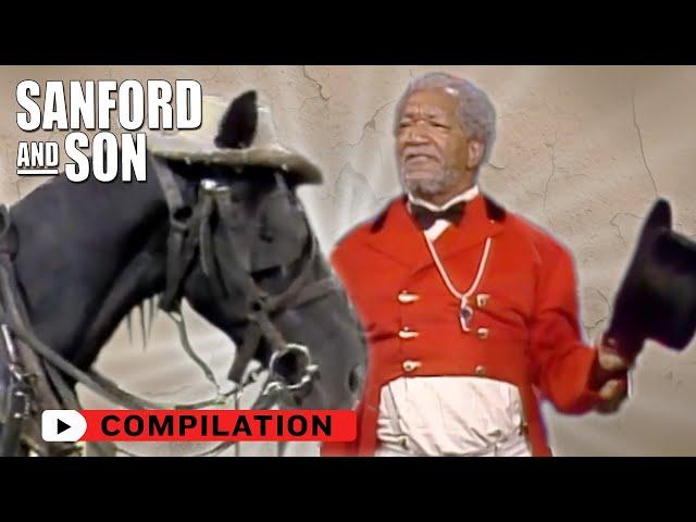 Best Animal Moments In Sanford and Son! | Compilation | Sanford and Son