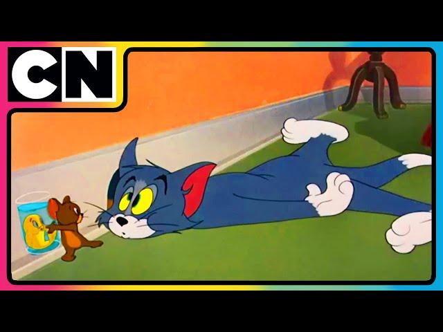 Tom and Jerry  | Goldie’s On The Menu! | Compilation | Cartoon for Kids | @cnindia