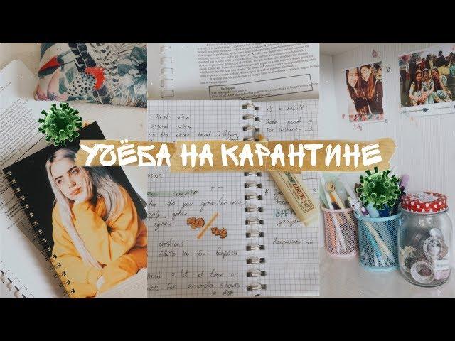 УЧЕБА НА КАРАНТИНЕ /study with me