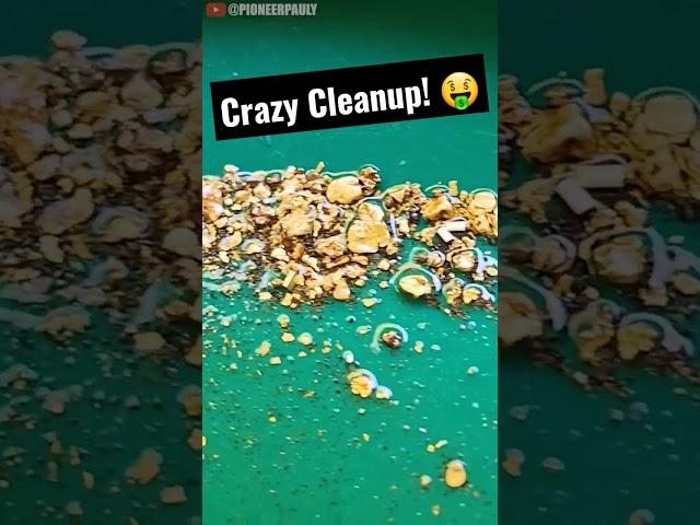 Crazy Gold Cleanup!!