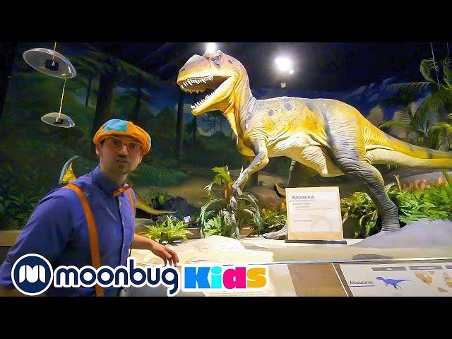 Blippi Visits Dinosaur Exhibition to Learn About Eggs and Fossils | Blippi | Kids Songs