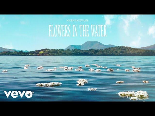 Nathan Evans - Flowers In The Water (Official Visualizer)