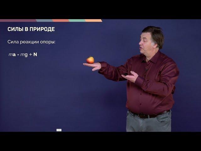 2.2. Сила тяжести и сила реакции опоры. Вес тела | Динамика | Александр Чирцов | Лекториум