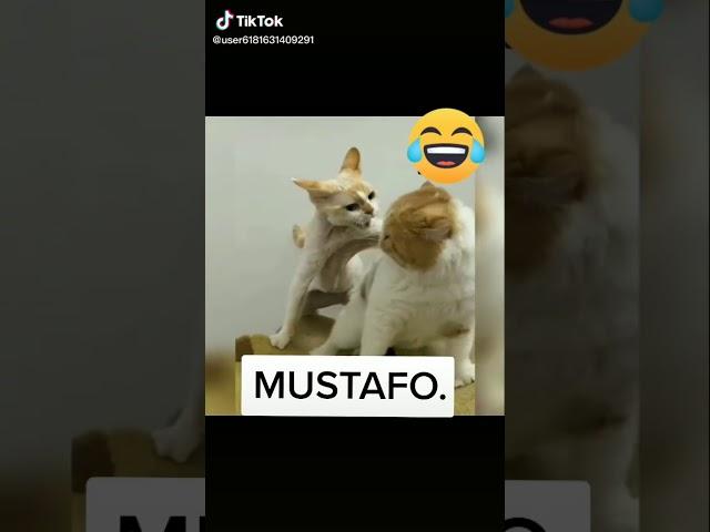 Tik Tok dublaj