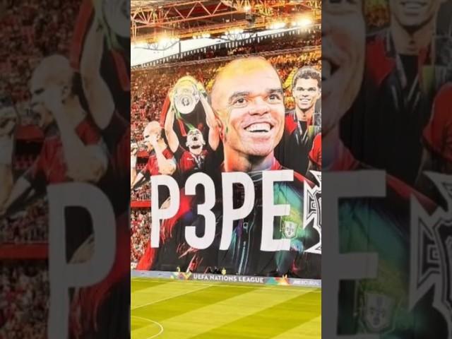 Pepe Tribute By Portugal Fans #football #shortsfeed