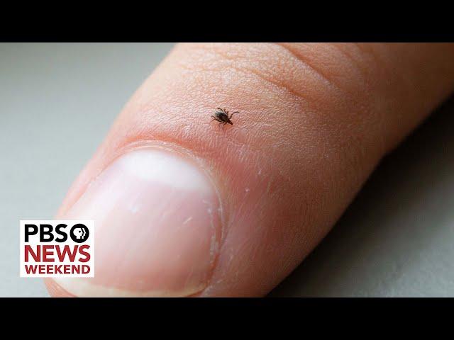 What more can be done to treat Lyme disease and its potential long-term effects