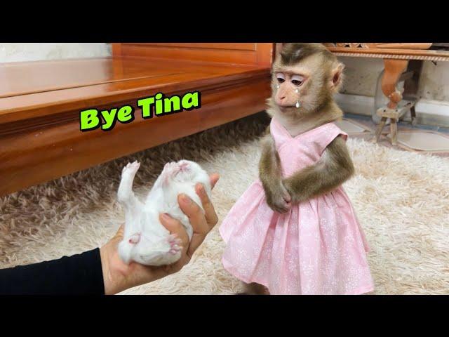 monkey Tina is sad when she has to say goodbye to her baby rabbit and go home.