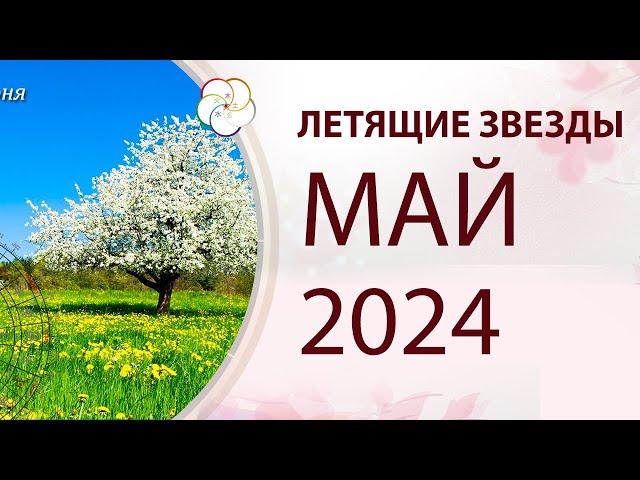 ФЭНШУЙ 2024:  Прогноз по Летящим Звездам на МАЙ 2024