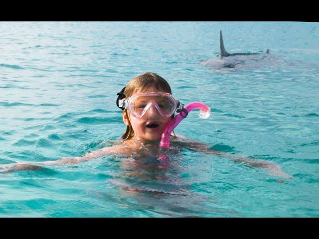 Shark Attack Bahamas, Girl thinks shark is a dolphin