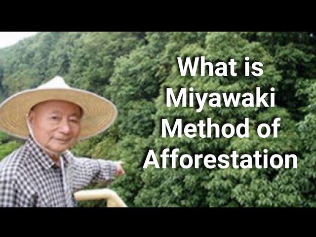 Miyawaki Forest I What is Miyawaki Method of Afforestation I Akira Miyawaki technique, urban forest