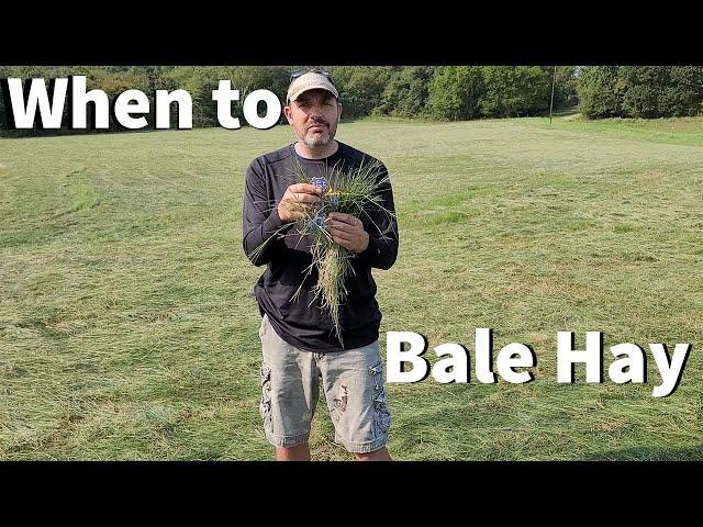 How Long to Dry Your Hay Before Bailing