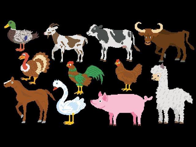 Pet and Farm Animals 1   Turkey, Cow, Horse, Duck   Smart Kids Pedia