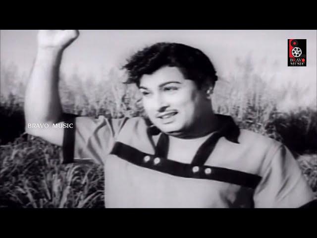 Enna Than Nadakkum | என்ன தான் நடக்கும்  | T. M. Soundararajan, MGR Hit Song HD Video