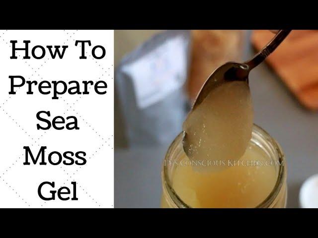 How To Make St. Lucia Golden Sea Moss Tutorial Dr. Sebi Recommended