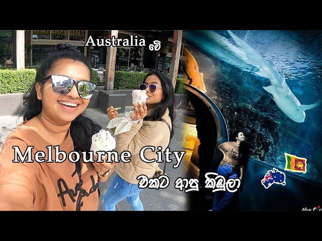 Melbourne City එකේ රජ කරන යෝද මැන්ටා රේ මීට කලින් දැකලා තියේද|MapPin Travel | Sinhala Vlog Australia