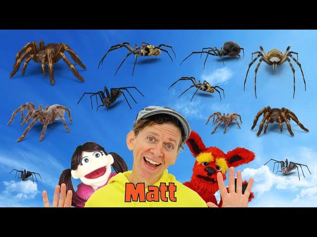 Spiders | What Do You See? Song  | Find It Version | Dream English Kids