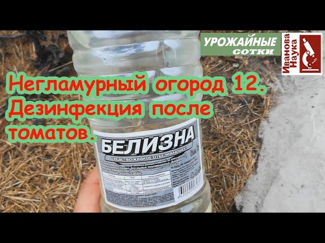 Негламурный огород-12. Обработка участка после томата, перца и баклажана: как это сделать правильно.