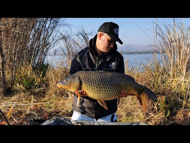 Hartbeespoort dam big fish and baits used