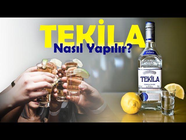 Tekila Nasıl Yapılır?