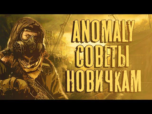 S.T.A.L.K.E.R. Anomaly - Советы новичкам