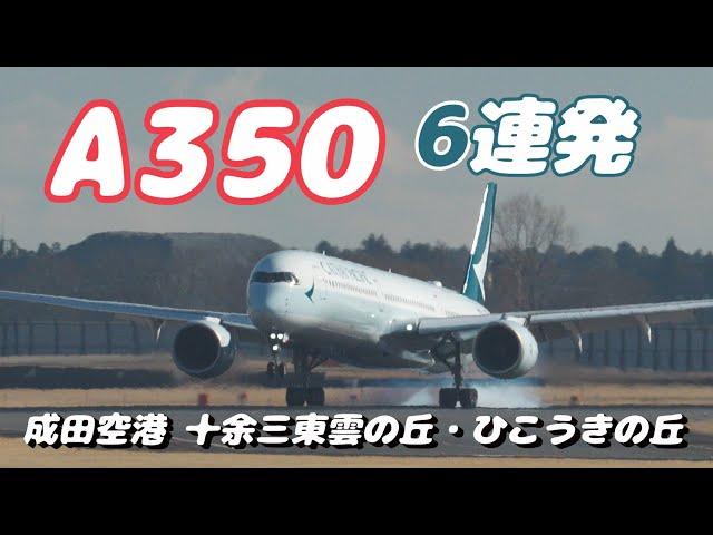 【4K】成田空港 十余三東雲の丘 & ひこうきの丘 空港に離着陸するエアーバスA350 ６連発