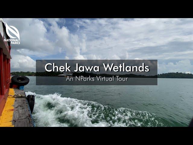 Ubin Day 2020 Virtual Tours | Chek Jawa Wetlands