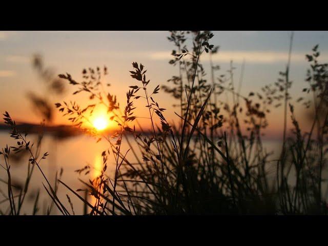 Sunset 4K Stock Video | Free stock footage - No Copyright | All Video Free