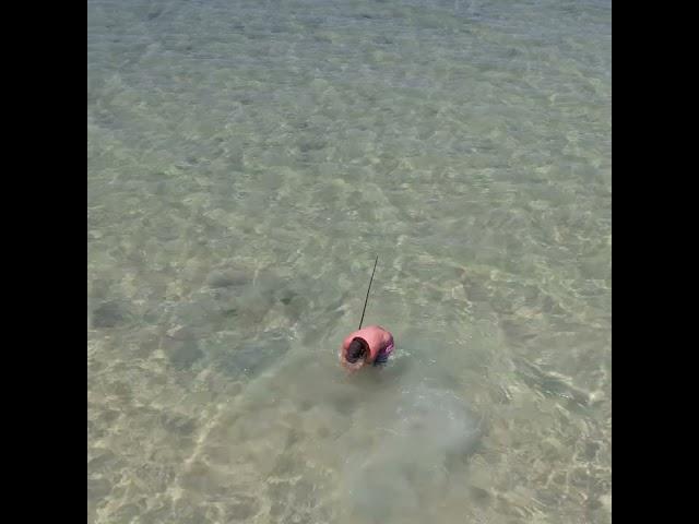 Throwing A Spear Into A Shovelnose Shark.