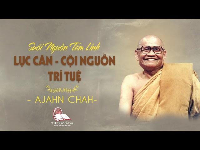 05. Lục Căn - Cội Nguồn Trí Tuệ | Suối Nguồn Tâm Linh - Thiền Sư Ajahn Chah