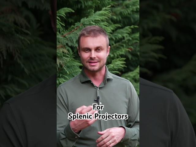 https://www.projectormovement.com/splenic-projector-training