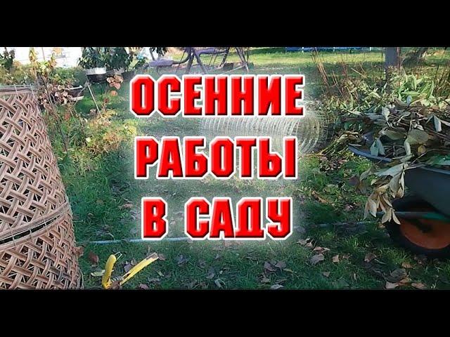 Осенние работы в саду