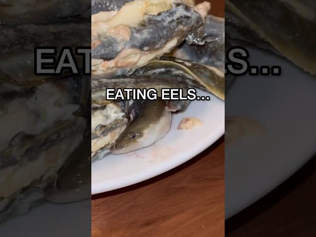 Eating Electric Eels…