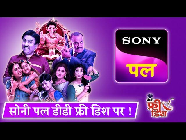 Sony pal starting on dd free dish | dd free dish new updates today | Sony pal | dd free dish |