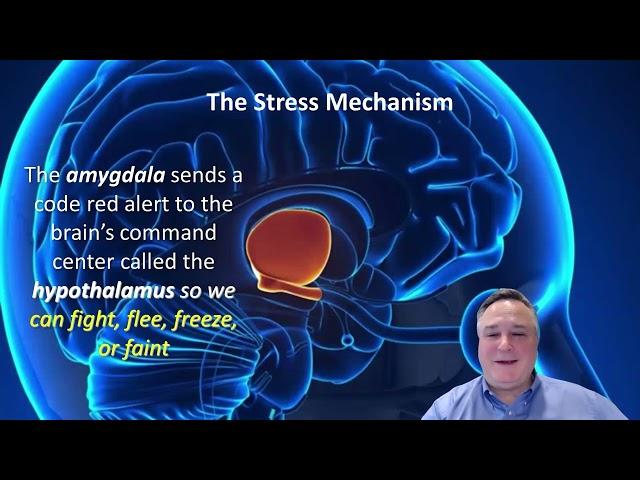 Feel Like Your Brain Has Been Hijacked? It's Time to Regain Control. Improve Executive Function.