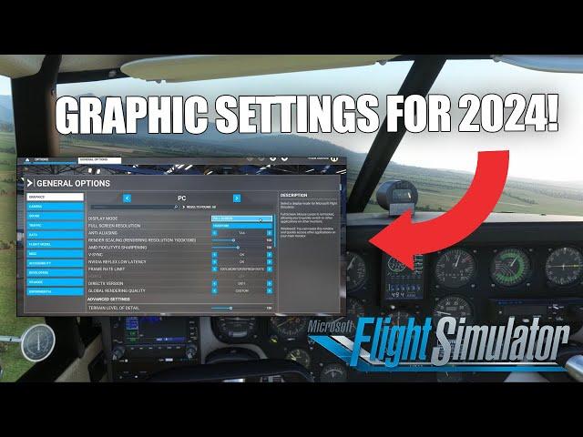 My GRAPHICS & ASSISTANCE Options for 2024! | MSFS