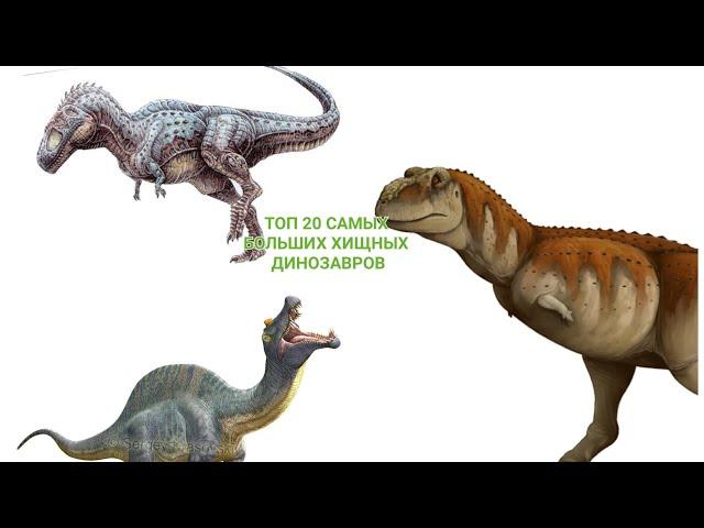 Топ 20 самых больших хищных динозавров